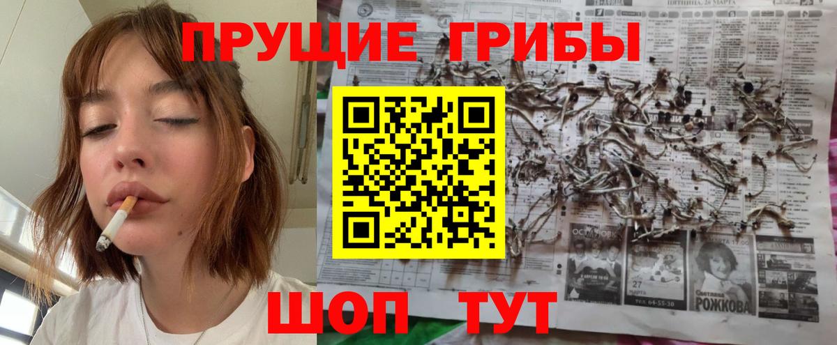 Галлюциногенные грибы ЛСД  Вход с VPN  Шарыпово 